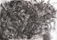 1985<br />33 x 23 inches<br />Charcoal on paper
